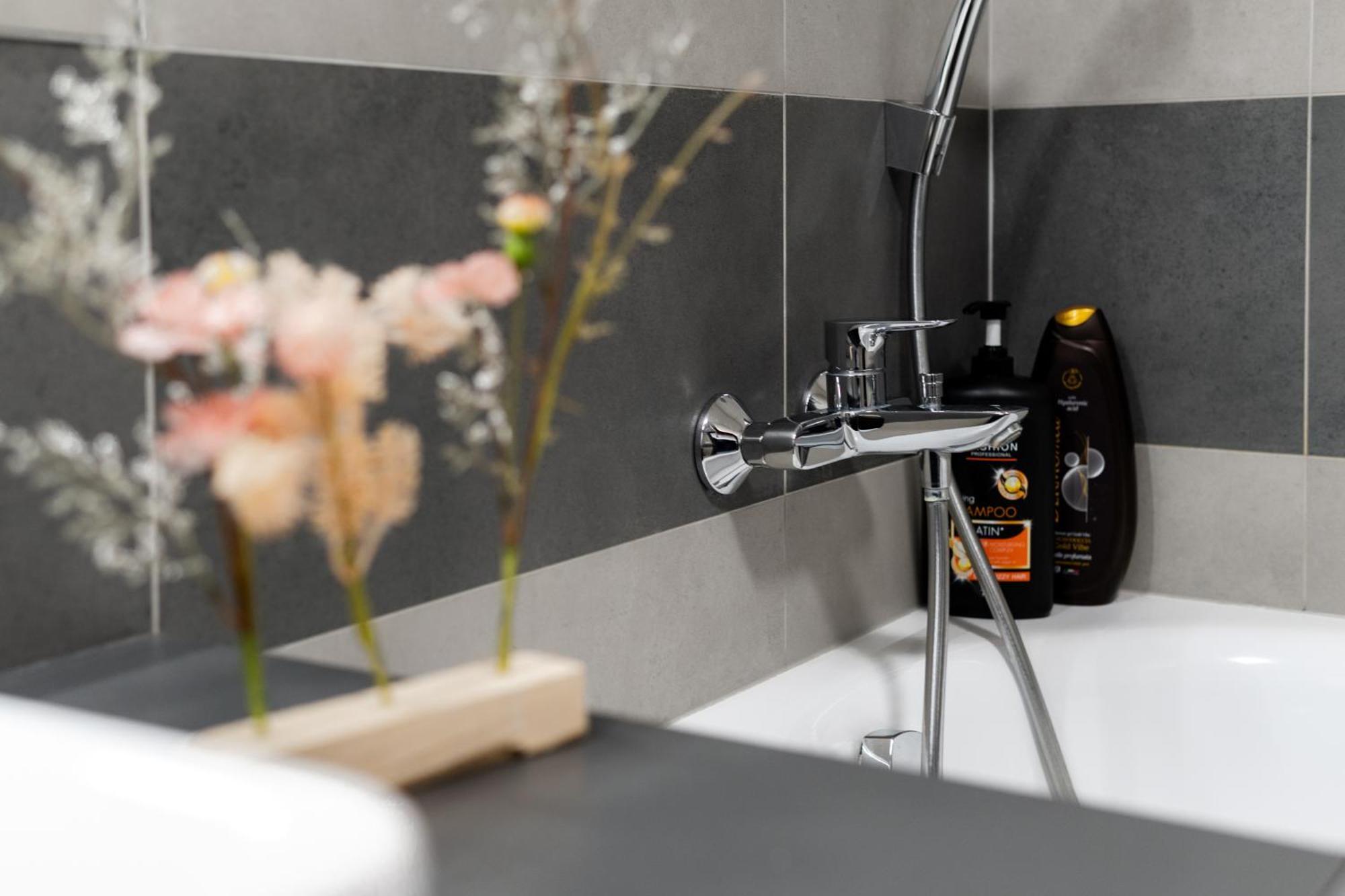 Bnb New Beautiful Apartment In The Center Of Ostrava With Option Garage Parking Eksteriør billede