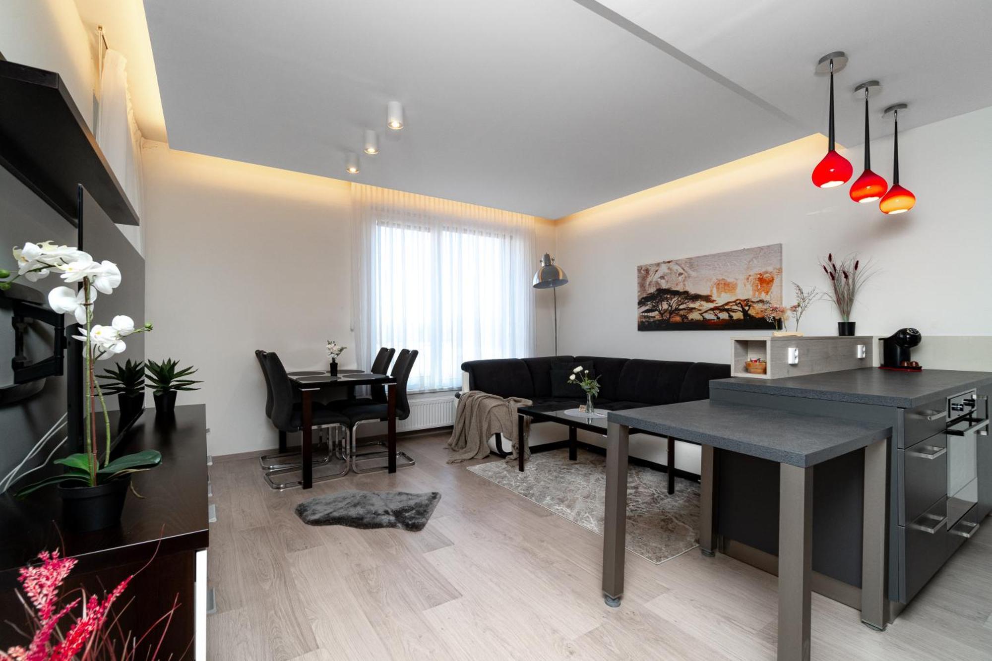 Bnb New Beautiful Apartment In The Center Of Ostrava With Option Garage Parking Eksteriør billede