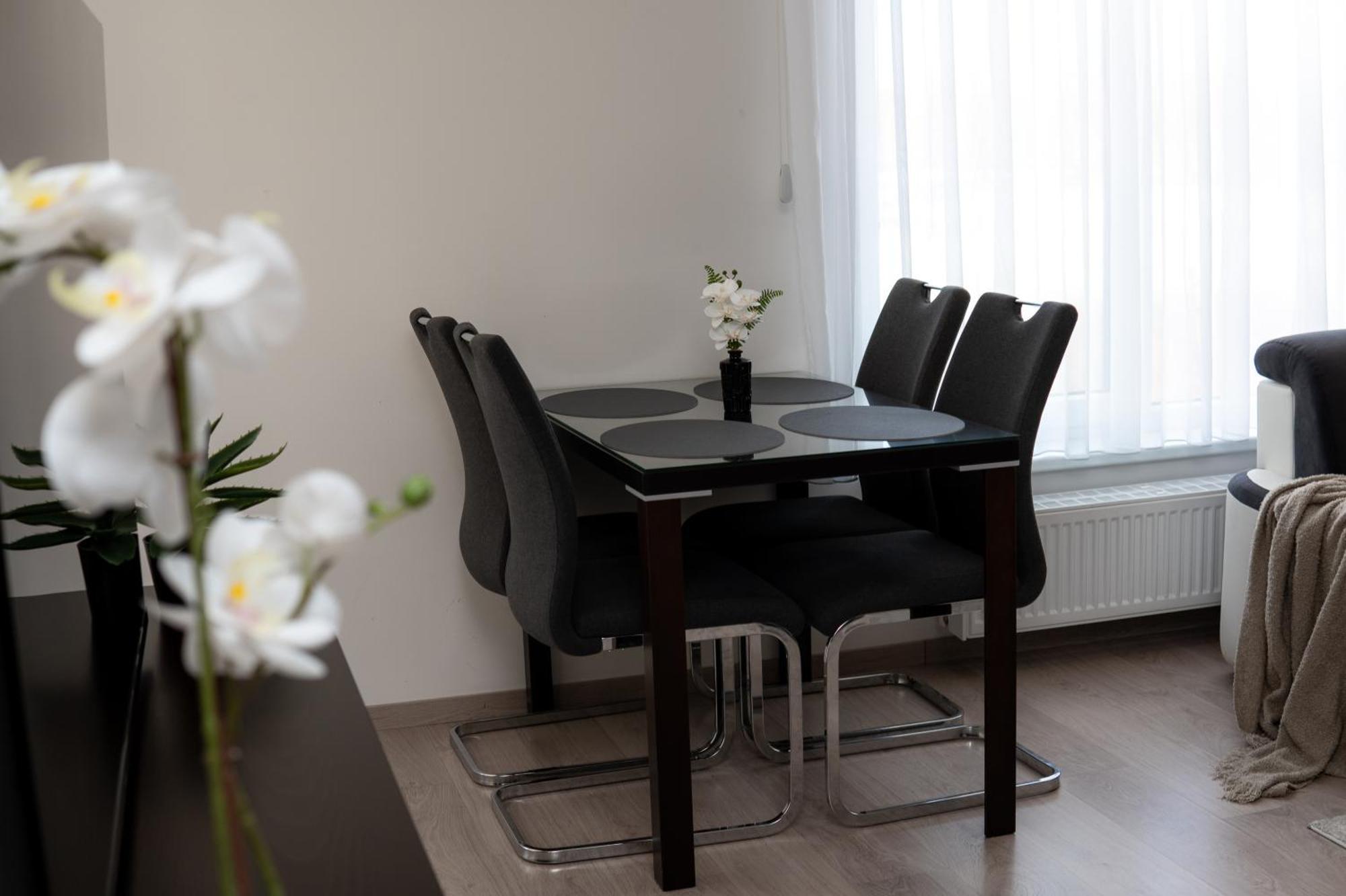 Bnb New Beautiful Apartment In The Center Of Ostrava With Option Garage Parking Eksteriør billede